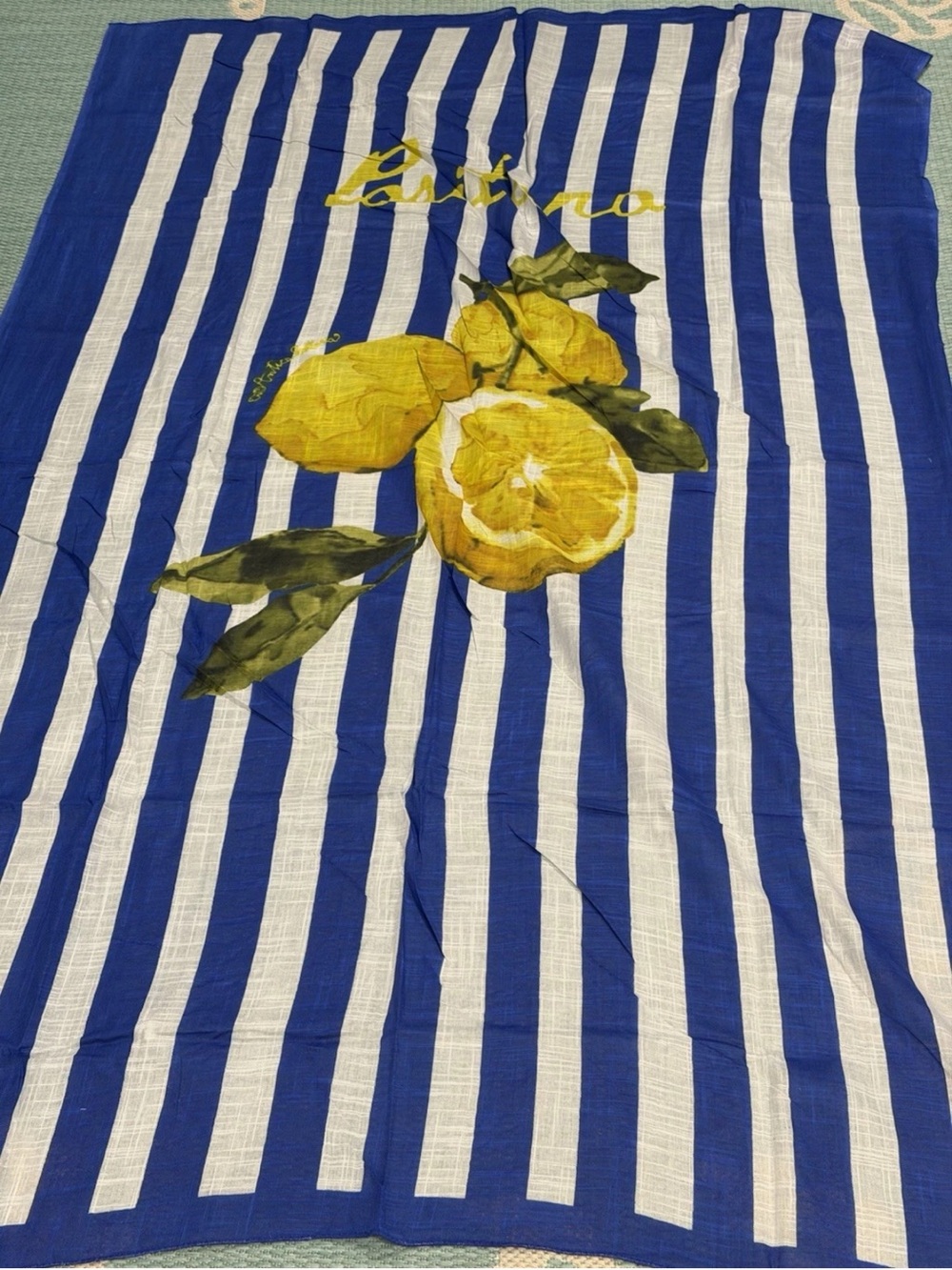 Antica Sartoria 2026 Striped Blue & White Lemon Scarf Wrap NWT